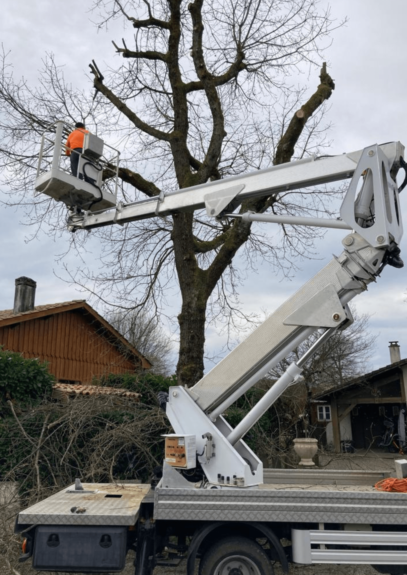 Elagueur professionnel pour arbres dangereux et arbres difficiles d'accès  en Gironde 33 - Elagage & Paysage